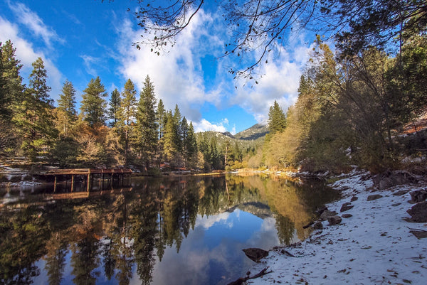 BEST OF IDYLLWILD THINGS TO DO - Wildland Organics