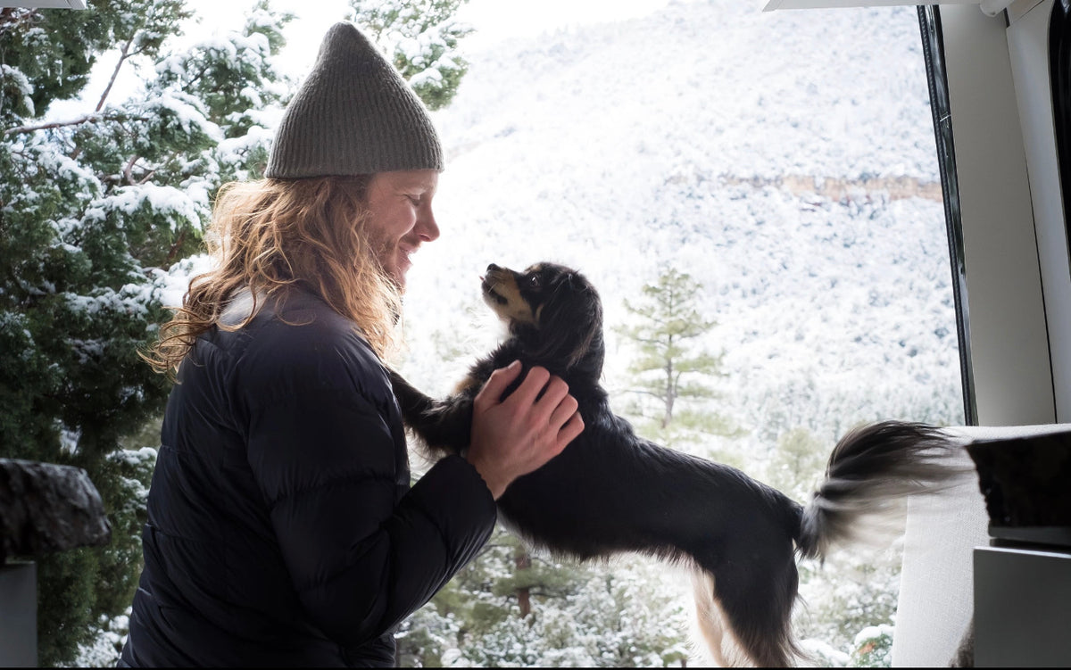 Wildland Paws: The Pampered Pet