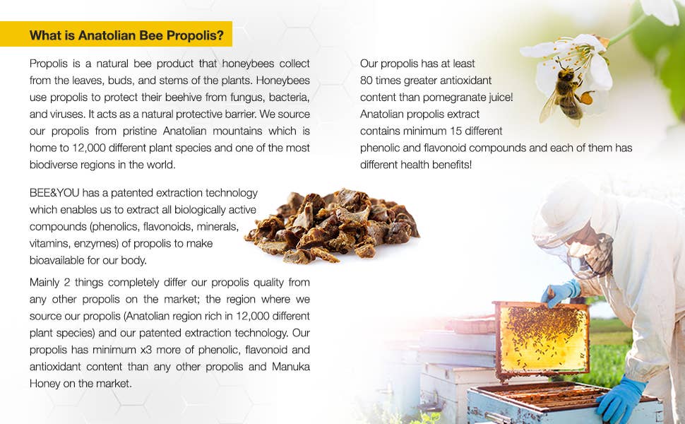Bee Propolis & Zinc Immunity Shot
