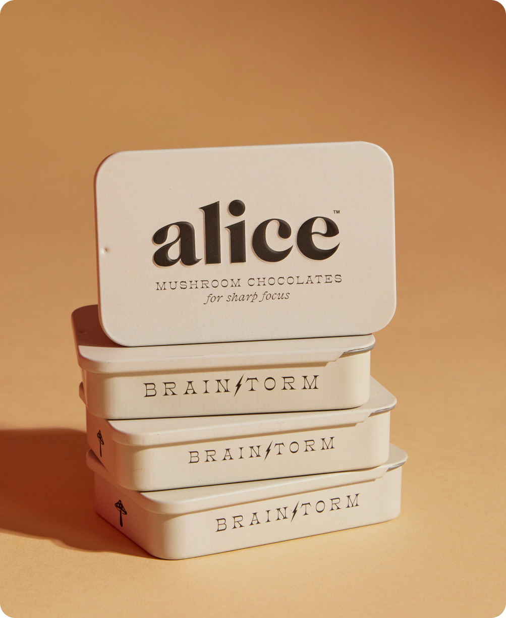 Brainstorm — mushroom chocolates for focus