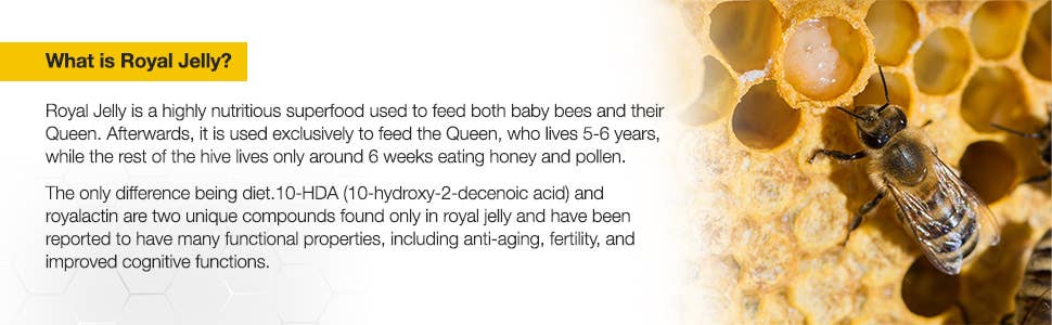 Bee Propolis & Zinc Immunity Shot