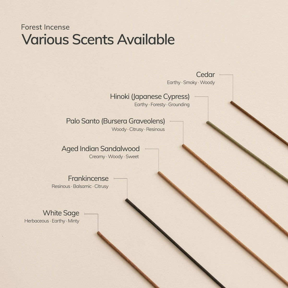 Palo Santo Incense Stick Set w Brass Holder