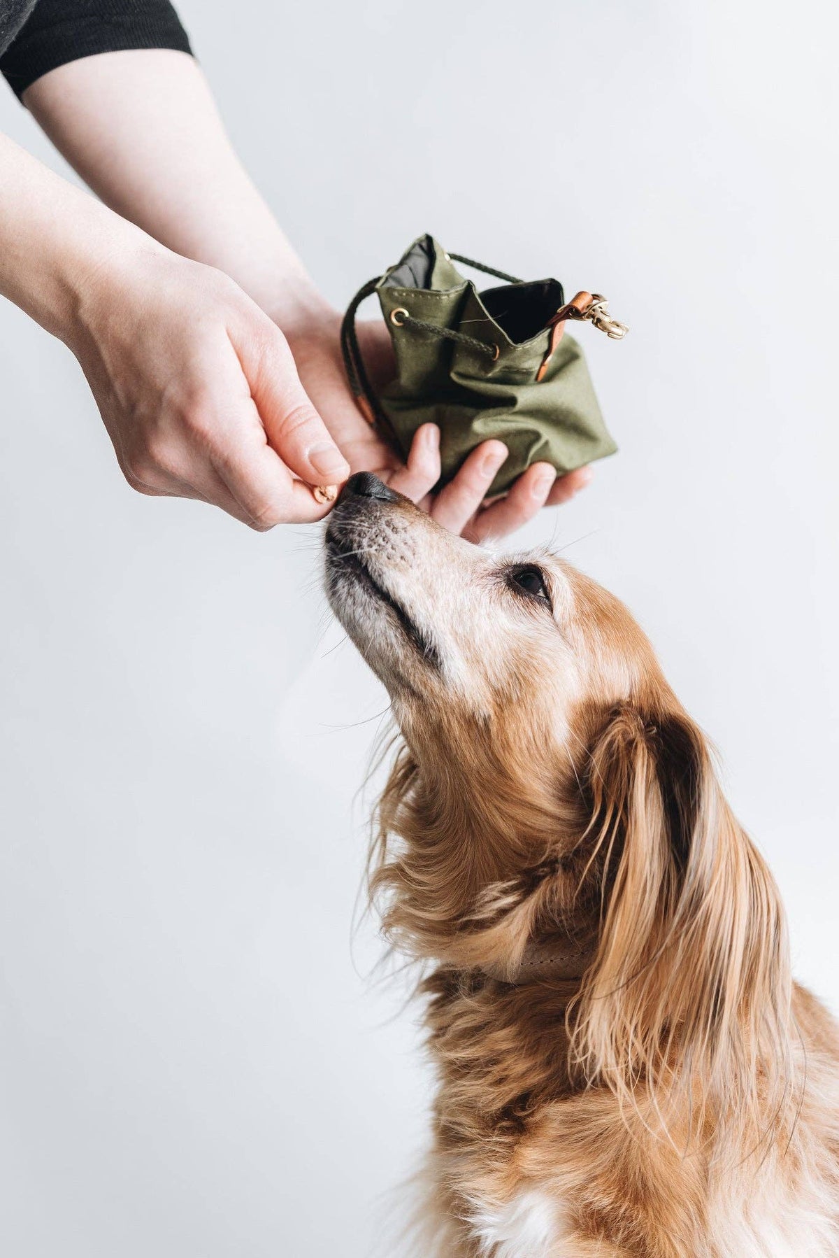 DOG TREAT BAG. YORK: Yellow / Tan