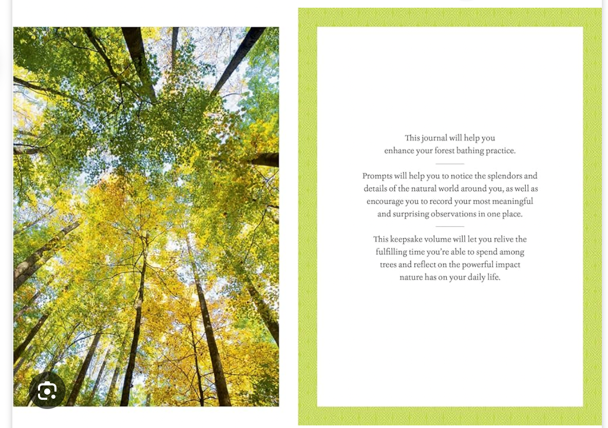 Among Trees