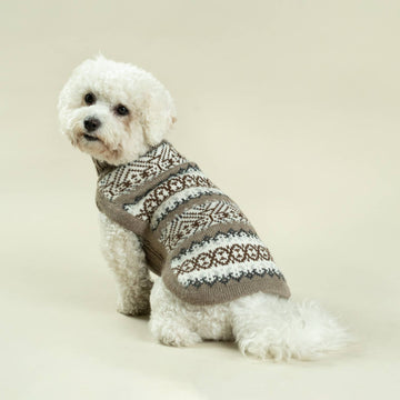 Echoes Alpaca Dog Sweater