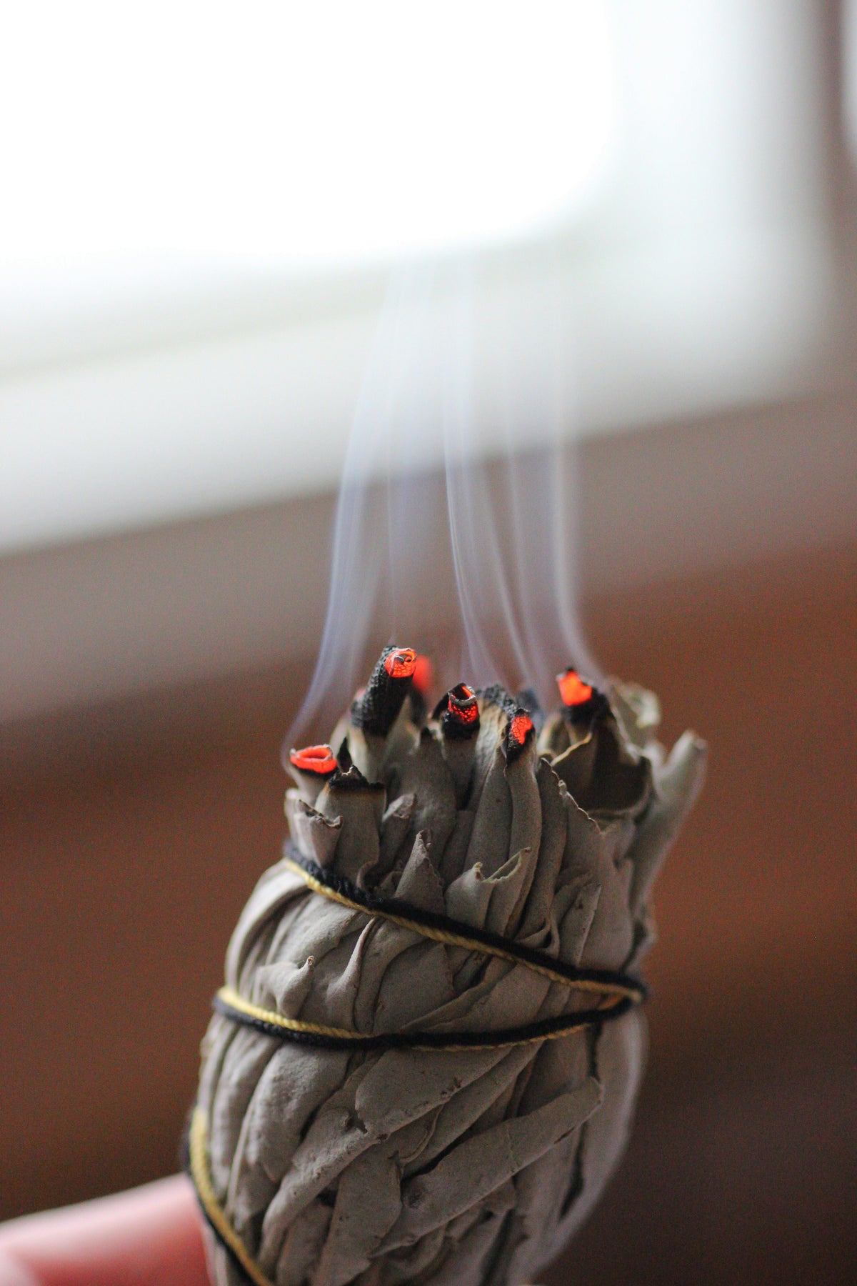 Ceremonial Sage - Various Styles
