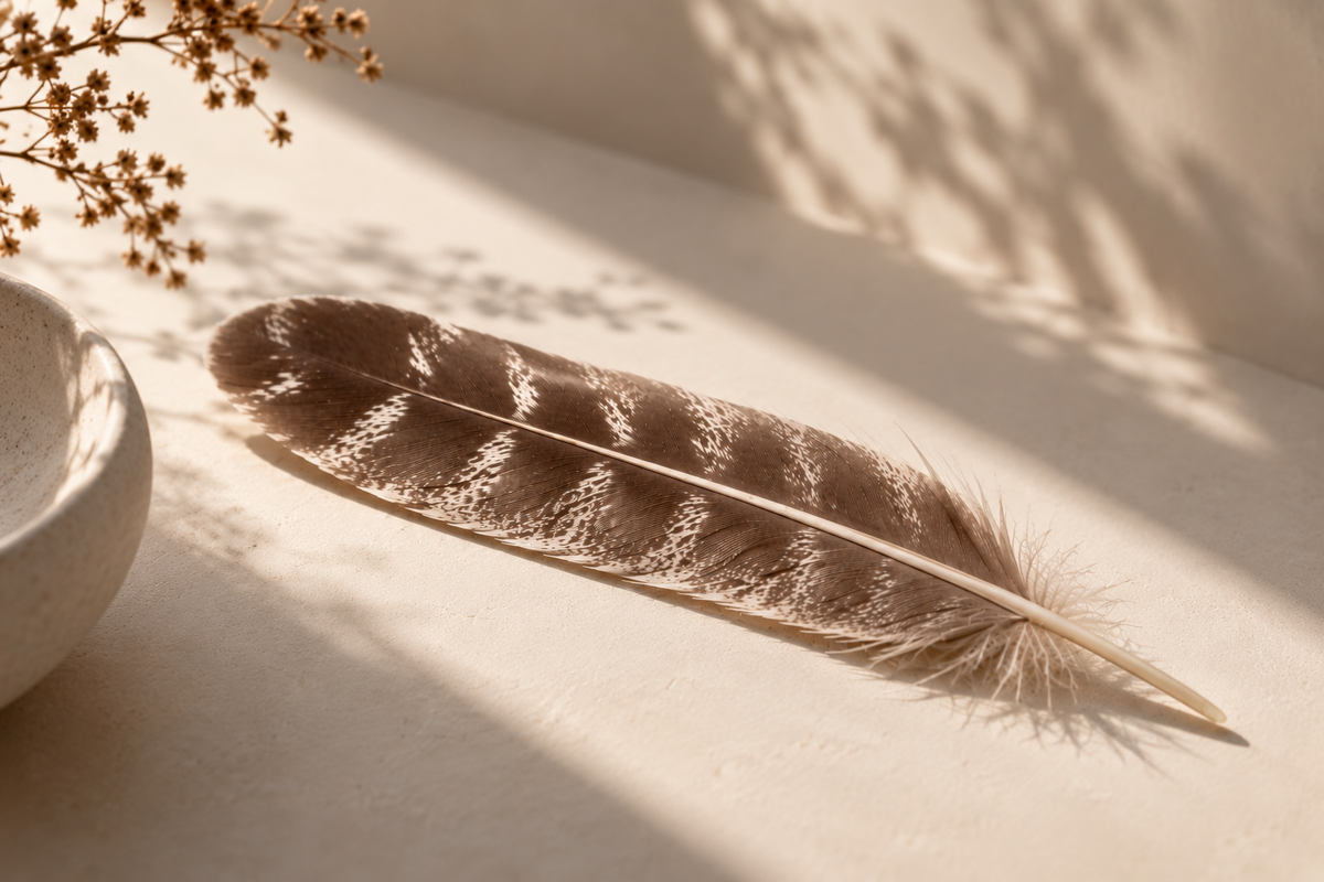 Ritual Feathers for Smudging