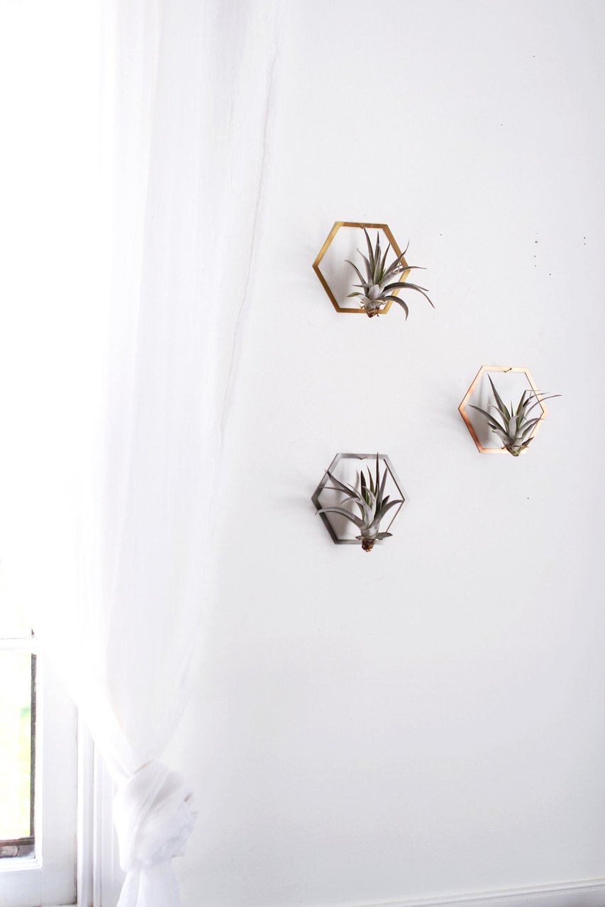 Hexagon Frame Air Plant Hanger/Wall Holder