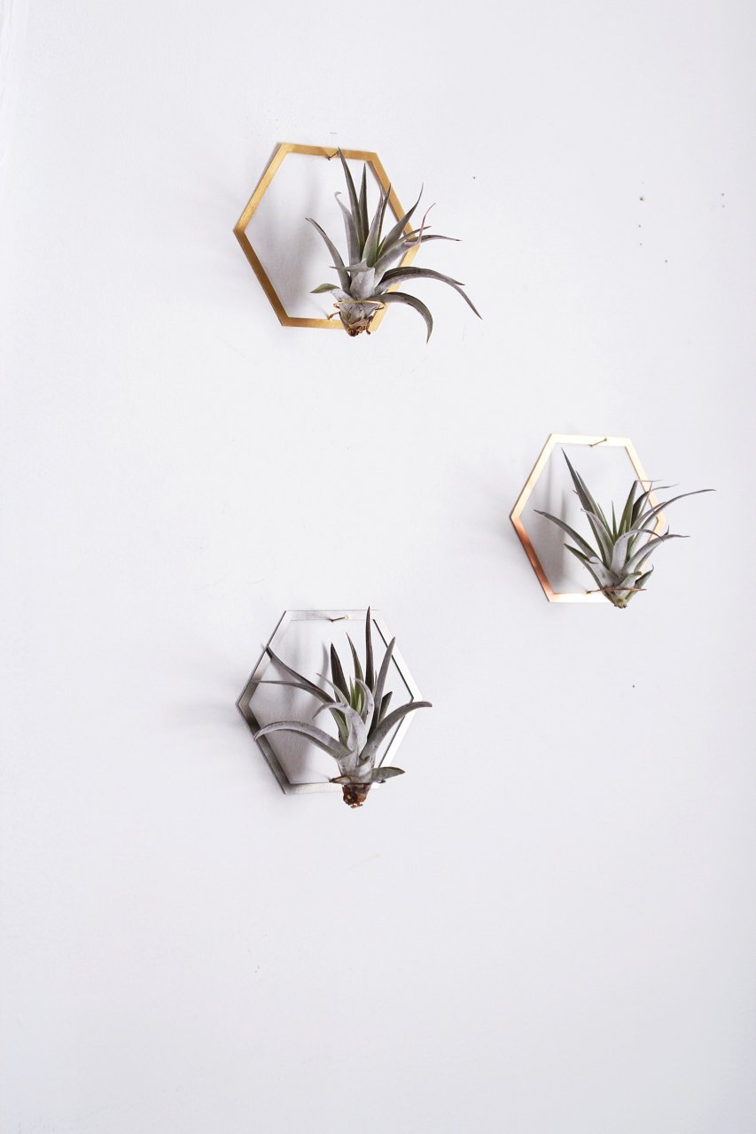 Hexagon Frame Air Plant Hanger/Wall Holder