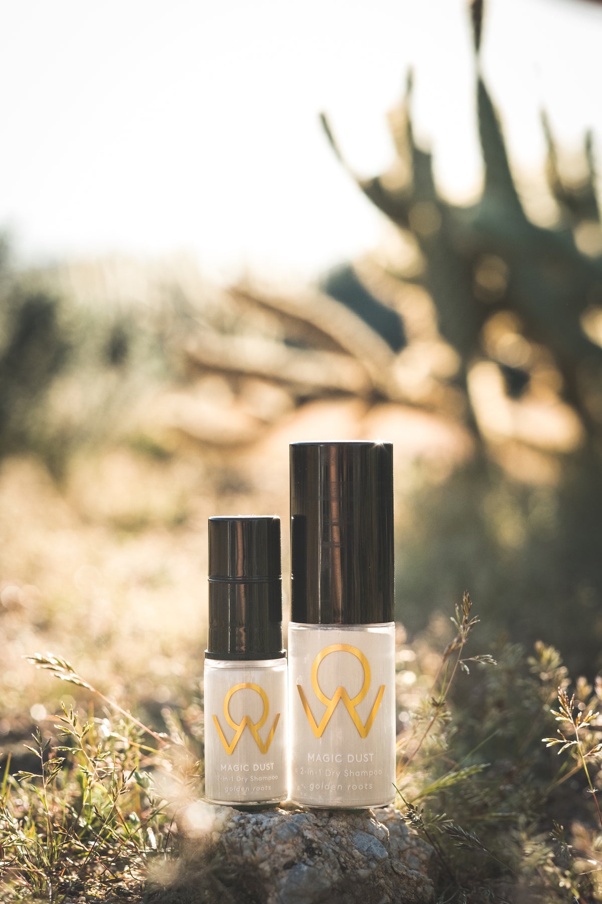 "Magic Dust" Dry Shampoo