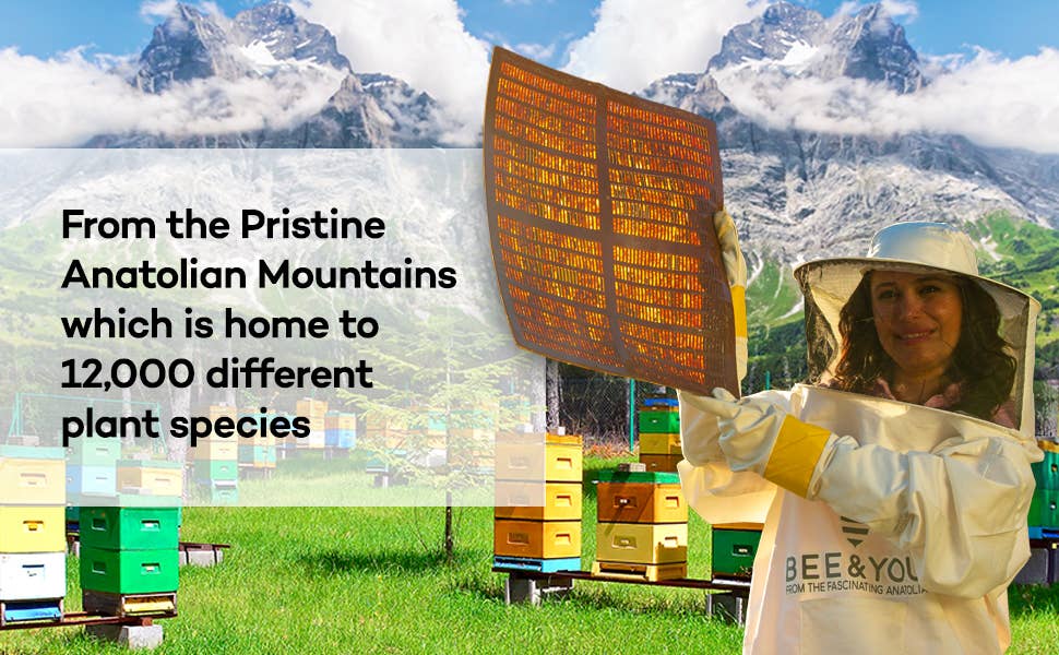 Propolis Extract Immunity Tincture