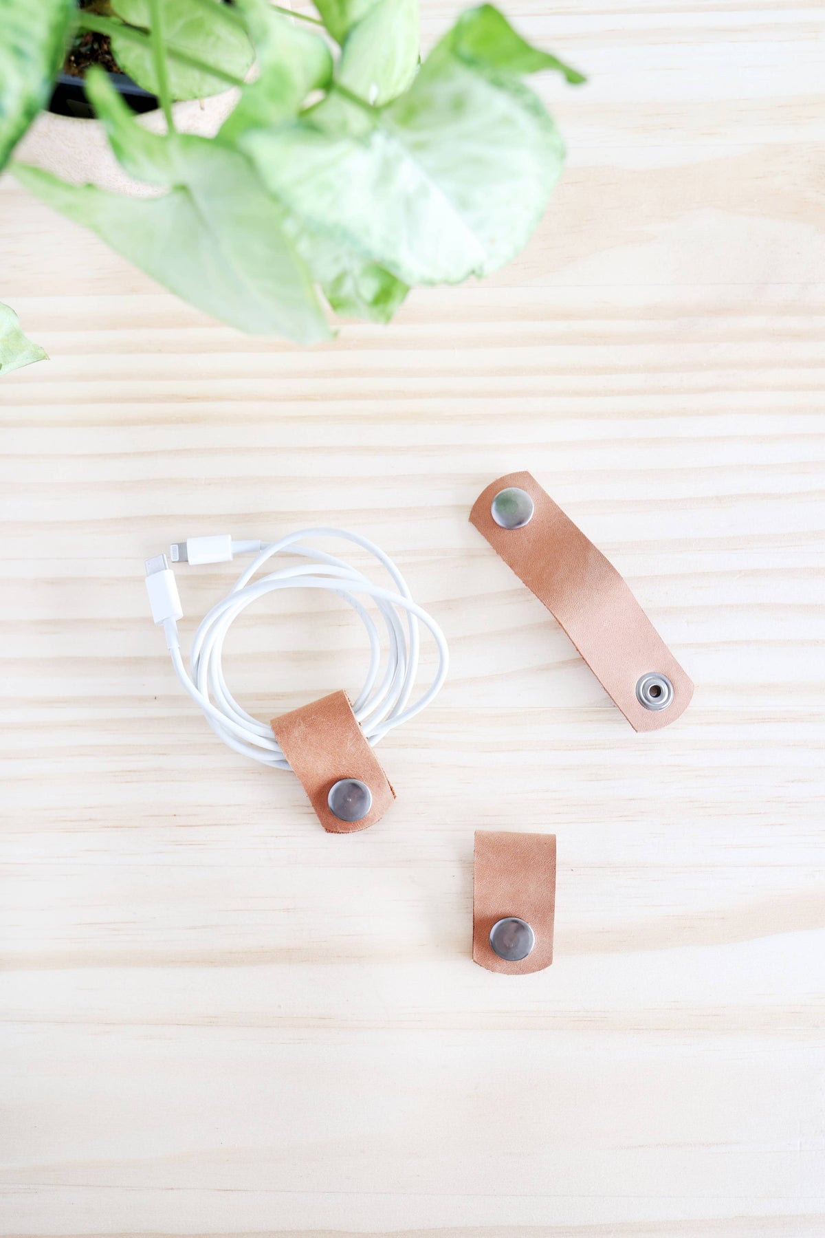 Leather Cord Keepers: Espresso