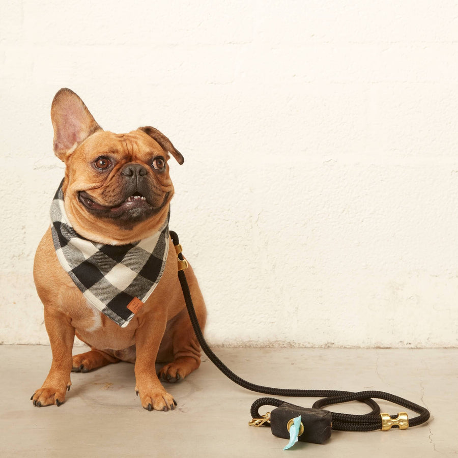 Onyx Waxed Canvas Poop Bag Dispenser: Black
