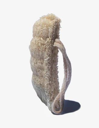 Loofah Sponge