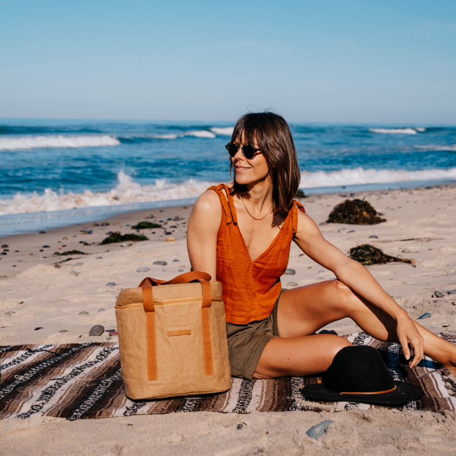 Eco Insulated Cooler Bag