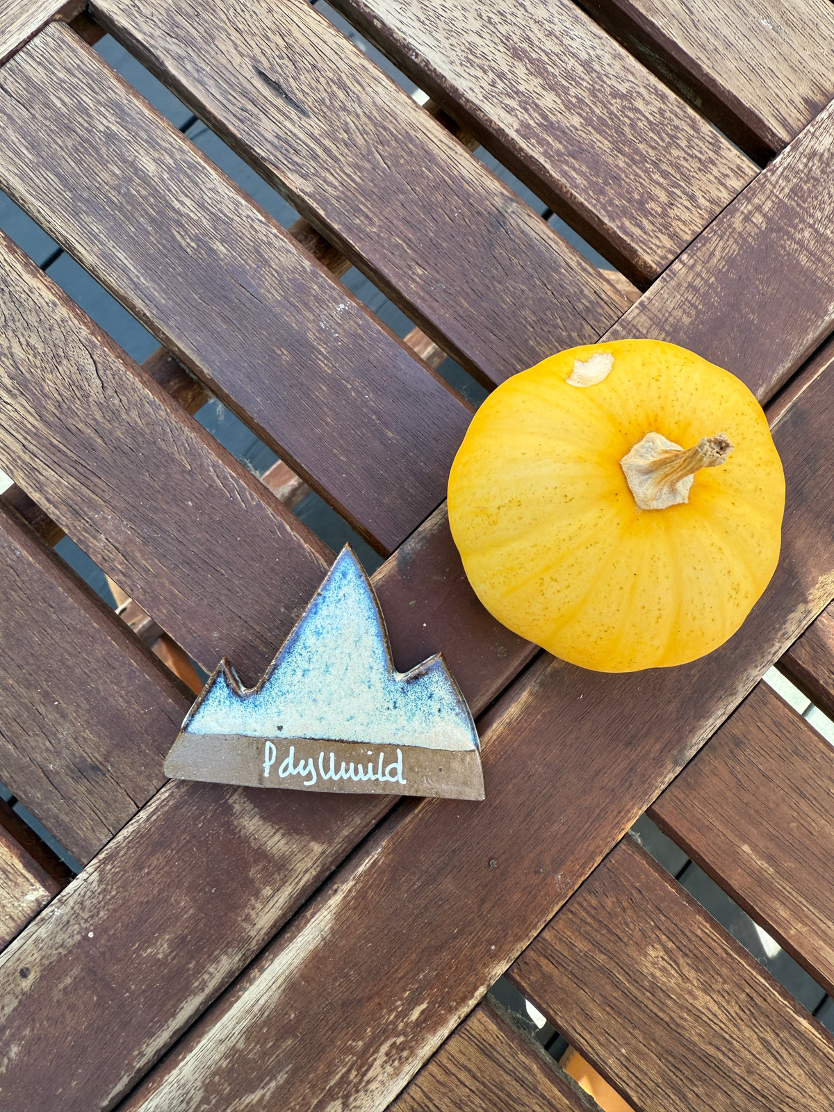 Idyllwild Mountain MAGNET - Locally Handcrafted