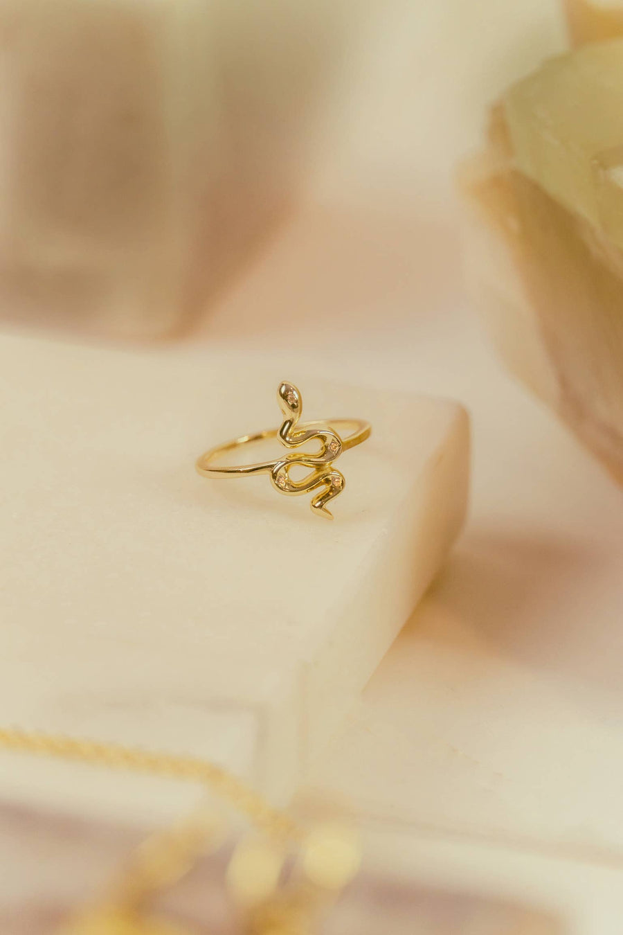 Transformation Snake Ring: 6