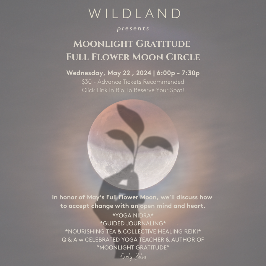 FULL FLOWER MOON CIRCLE - LEAD BY CELEBRATED AUTHOR EMILY SILVA