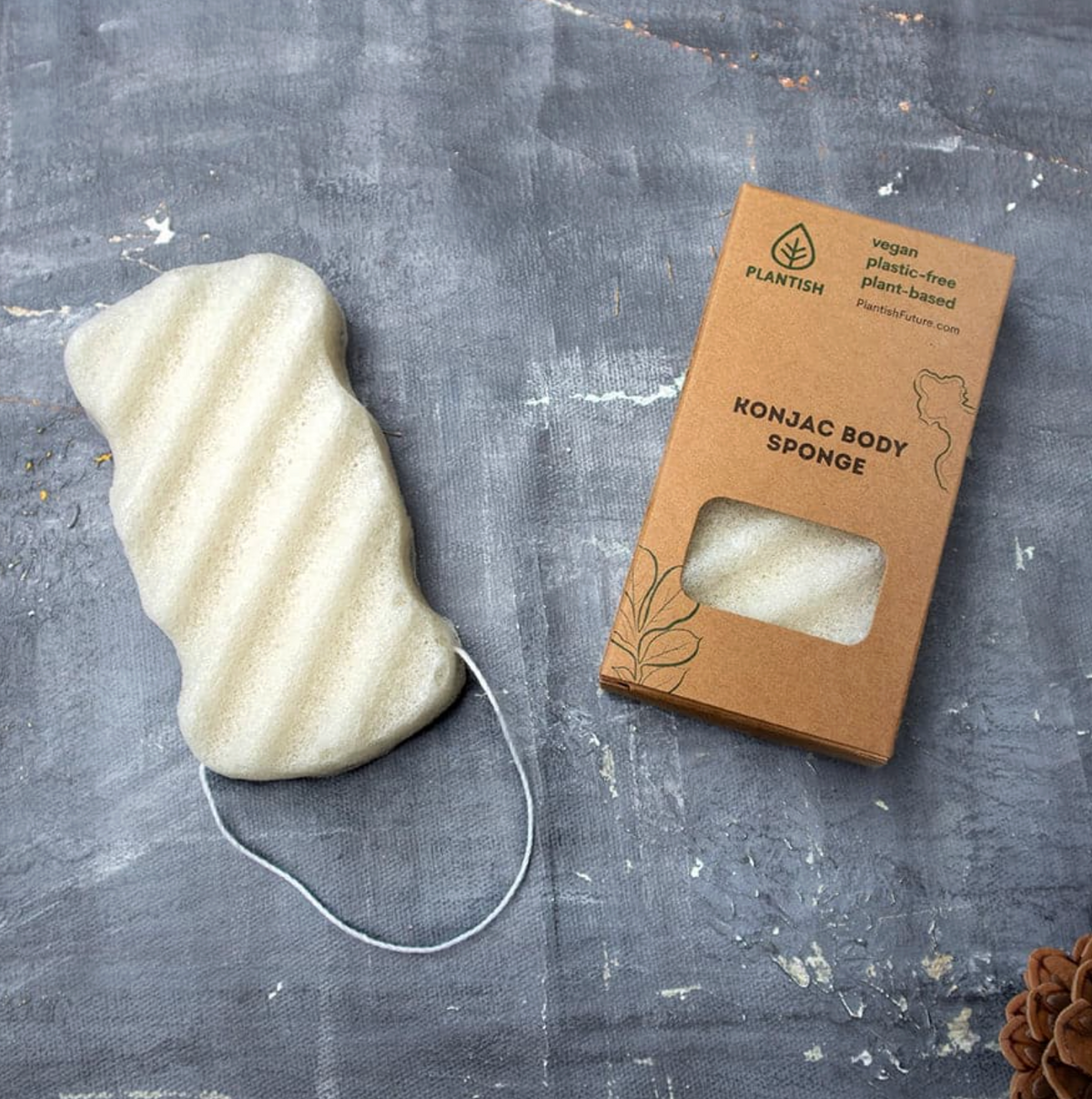 Konjac Sponge