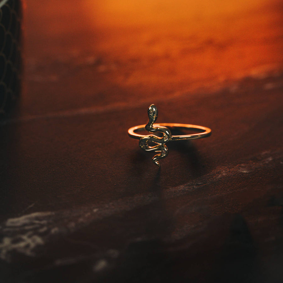 Transformation Snake Ring: 6