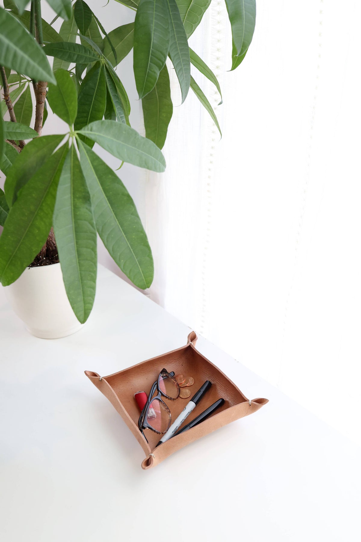 Minimalist Juniper Tray