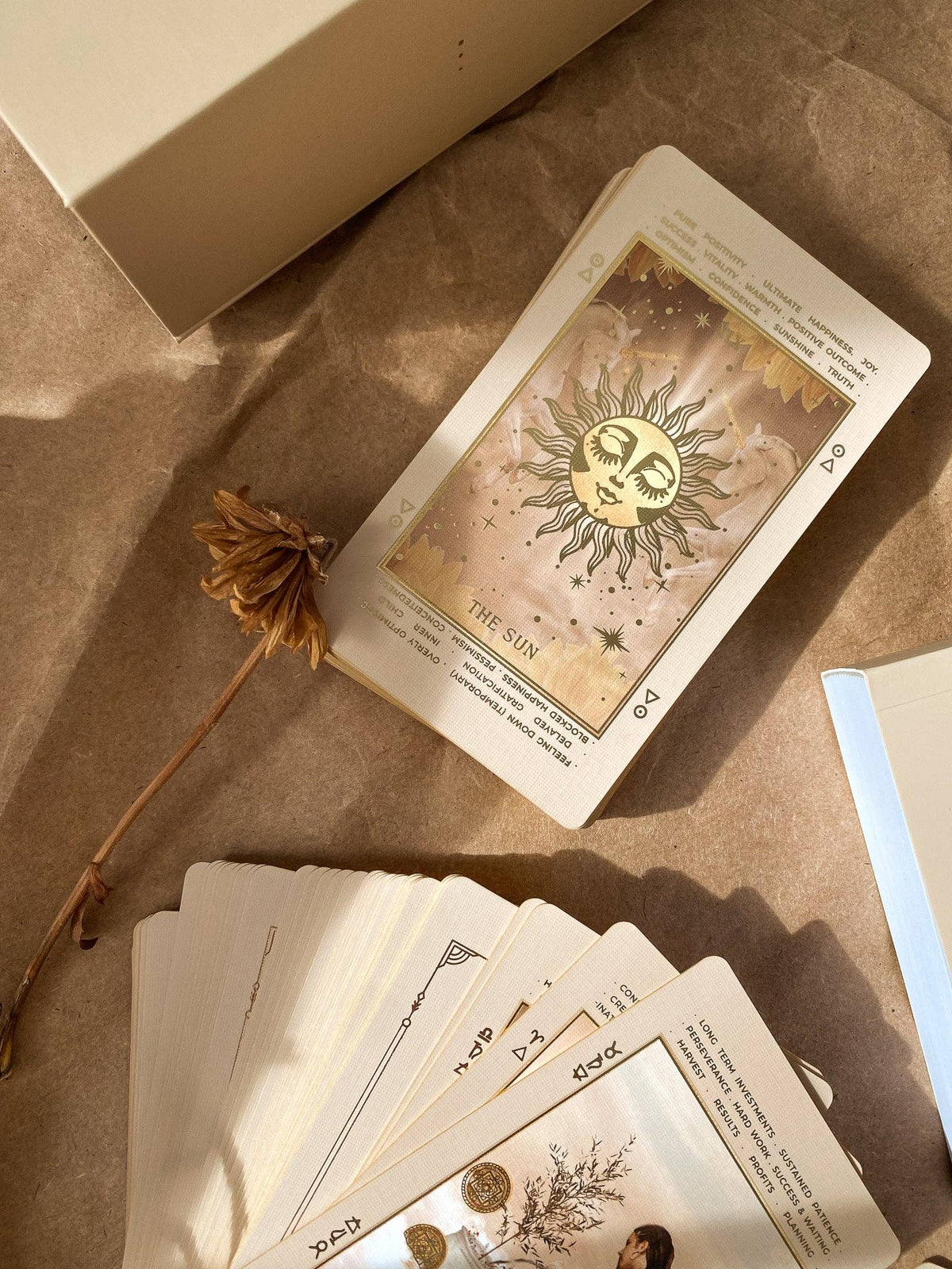 Lucid Dreams Beginners Tarot Deck ED IV, Beige