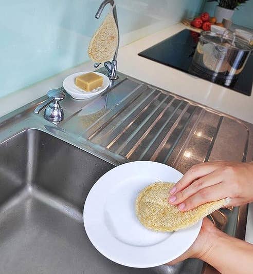 Loofah Sponge
