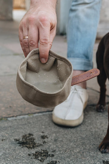 Dog Travel Bowl