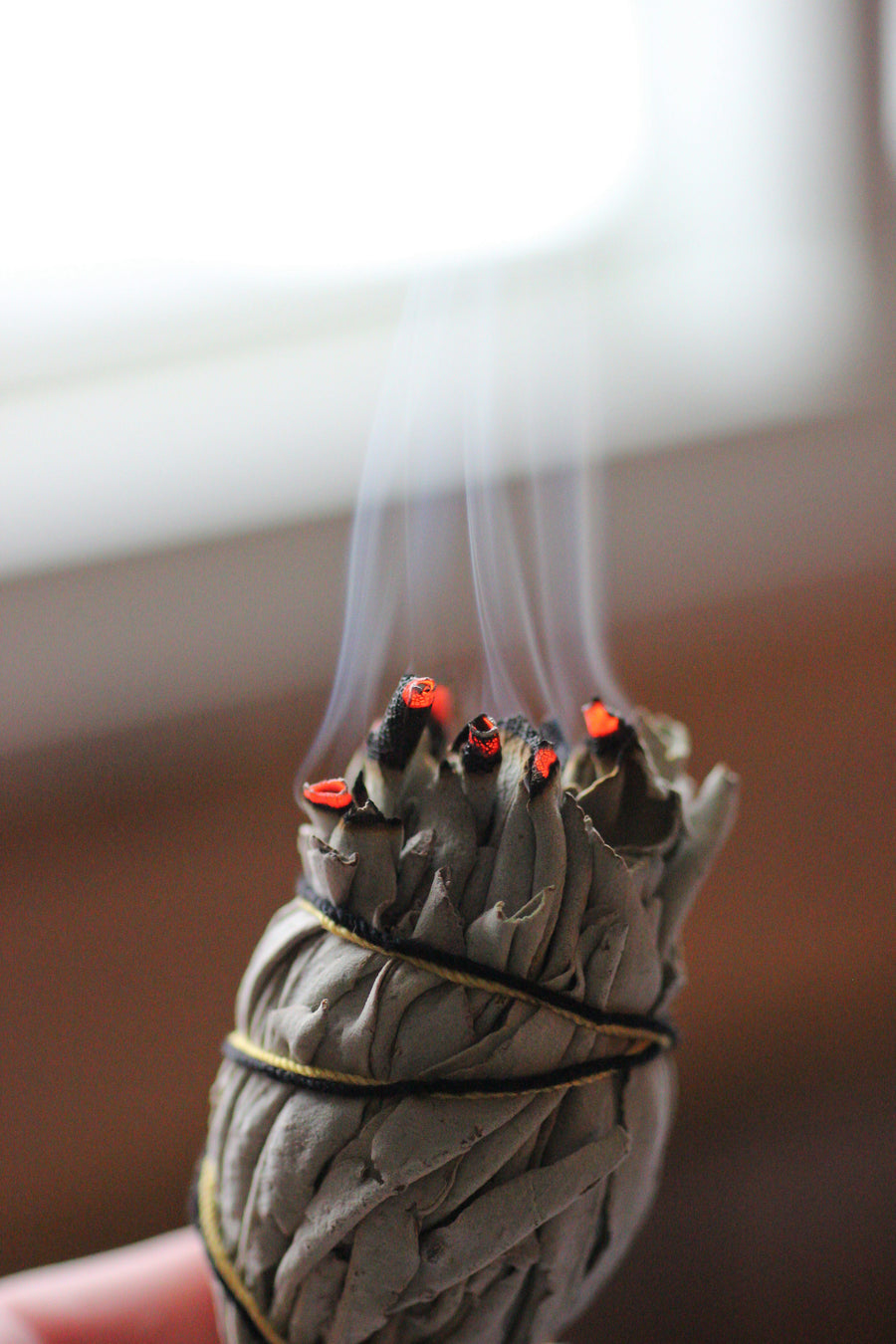 Ceremonial Sage