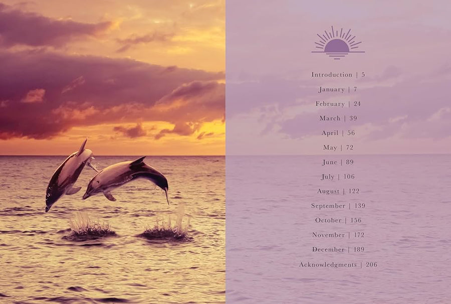 Sunset Gratitude - Emily Silva
