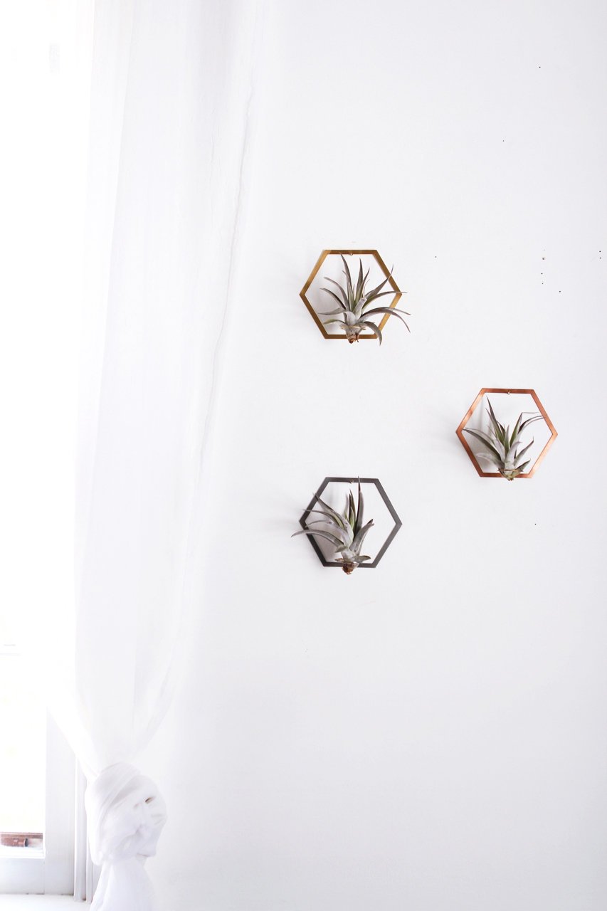 hexagon hanging planter Hexagon Frame Air Plant Hanger/Wall Holder – Wildland Organics