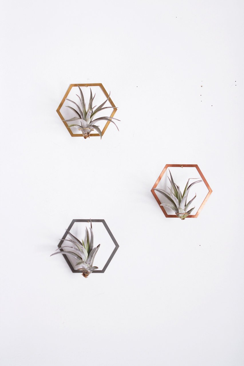 Hexagon Frame Air Plant Hanger/Wall Holder