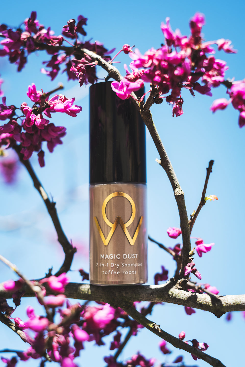"Magic Dust" Dry Shampoo