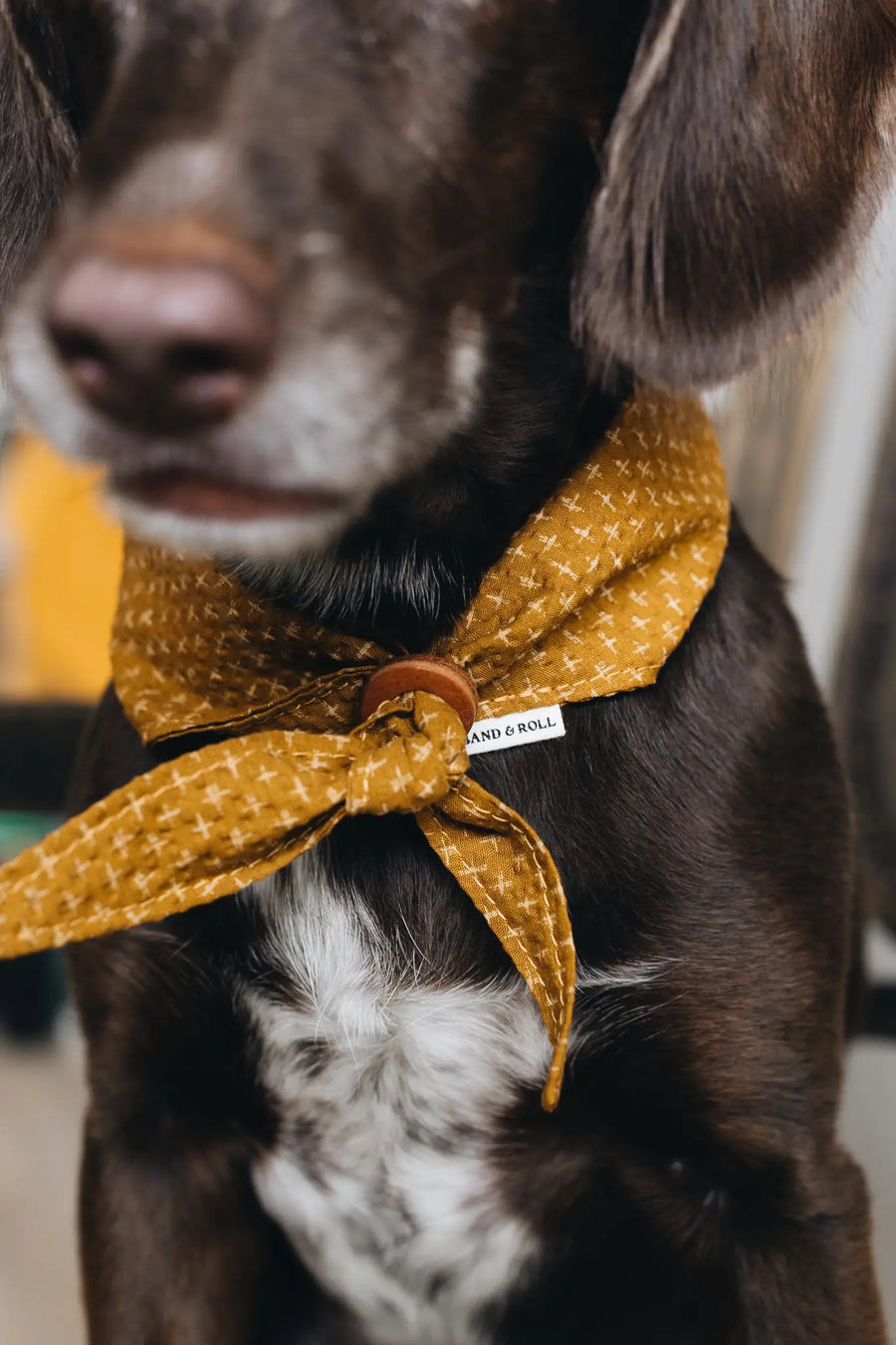 Japanese Cotton Seersucker Dog Bandana